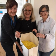 Art Group Bees Wax 2018