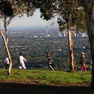 City View Earth Day 2018 39