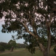 Enviro Earth day 2018 1