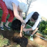 Planting Earth day 2018 108
