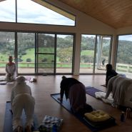 Yoga Class 8723