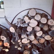 India Photo of wood